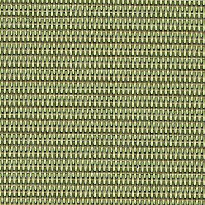 B64 - Dupioni Kiwi
